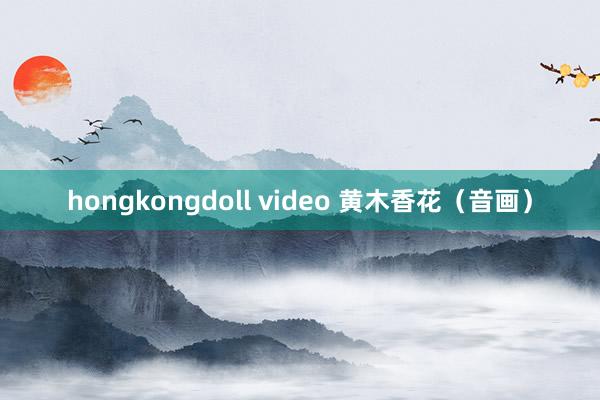 hongkongdoll video 黄木香花（音画）