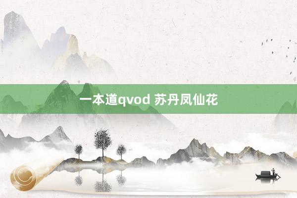 一本道qvod 苏丹凤仙花