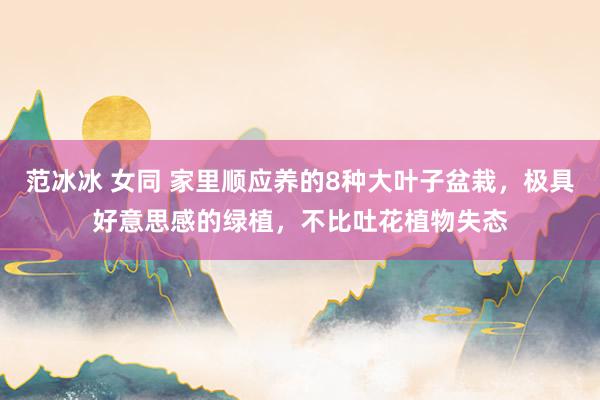 范冰冰 女同 家里顺应养的8种大叶子盆栽，极具好意思感的绿植，不比吐花植物失态