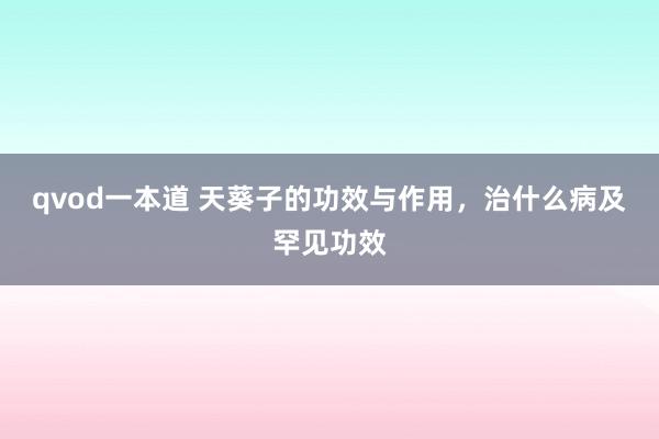 qvod一本道 天葵子的功效与作用，治什么病及罕见功效