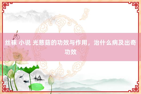丝袜 小说 光慈菇的功效与作用，治什么病及出奇功效