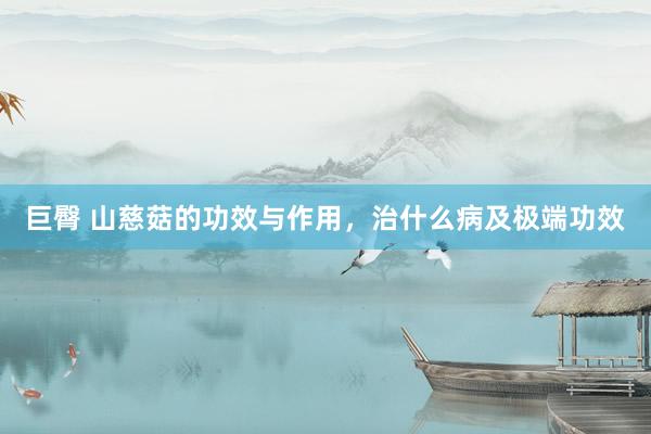 巨臀 山慈菇的功效与作用，治什么病及极端功效