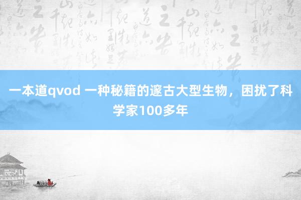 一本道qvod 一种秘籍的邃古大型生物，困扰了科学家100多年